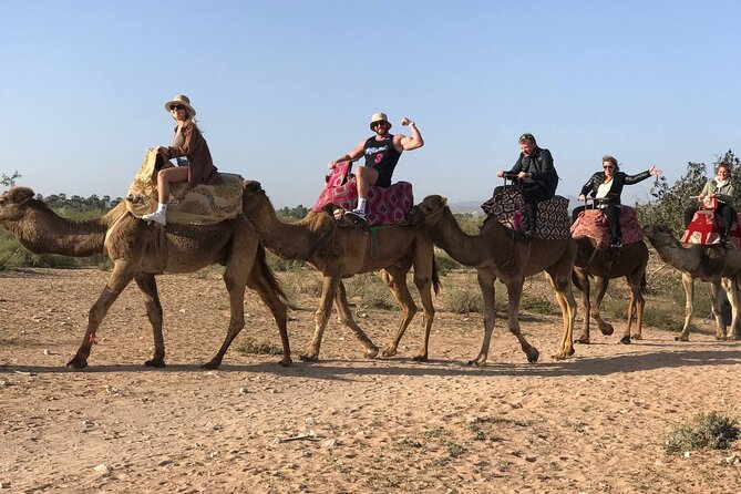 Camel Ride in Agadir at Sunset With Dinner (Bbq) - Booking and Availability Details
