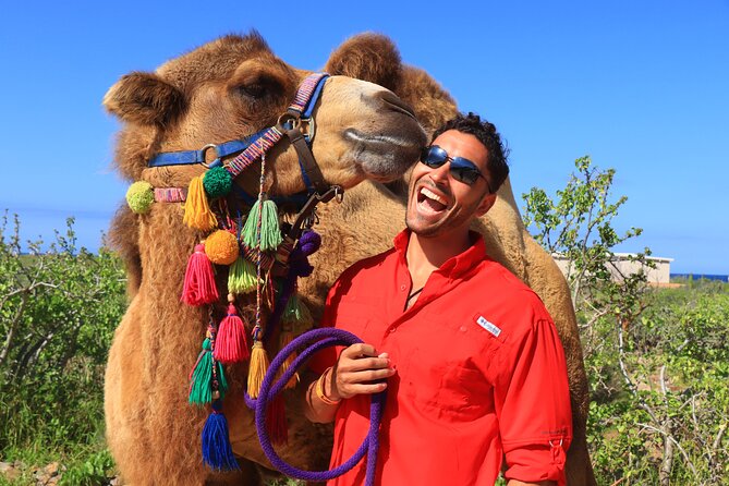 Camel Riding Experience on the Shores of the Pacific Ocean - Review Highlights and Feedback