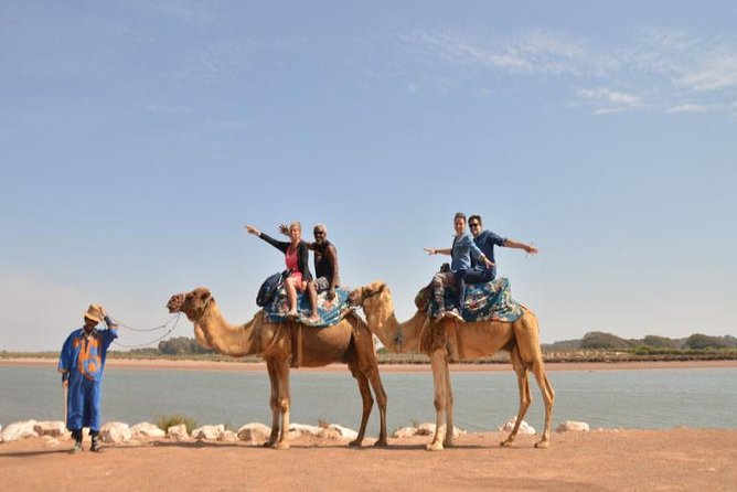 Camel Riding in Agadir for Cruise Ship Passengers - Customer Feedback