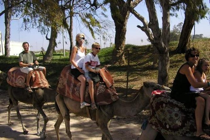 Camel Riding - Participant Guidelines and Restrictions