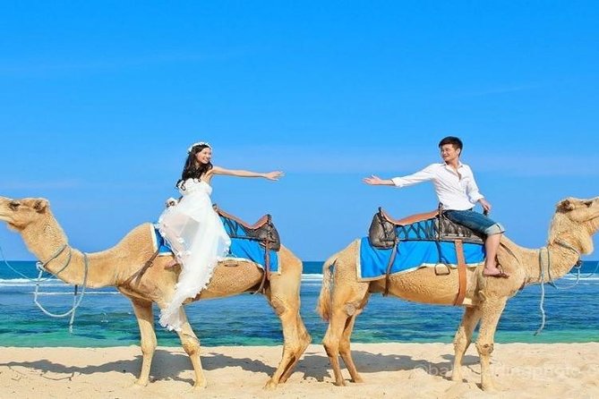 Camel Safari 30 Minutes in White Sand Beach - Pickup Locations and Fees