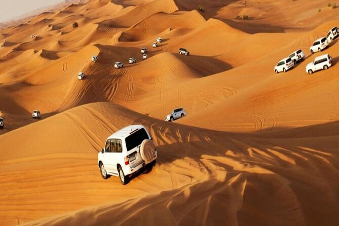 Camel Trekking Tour in Dubai Desert | BBQ Dinner| Sand Boarding| Live Shows... - Dining and Entertainment