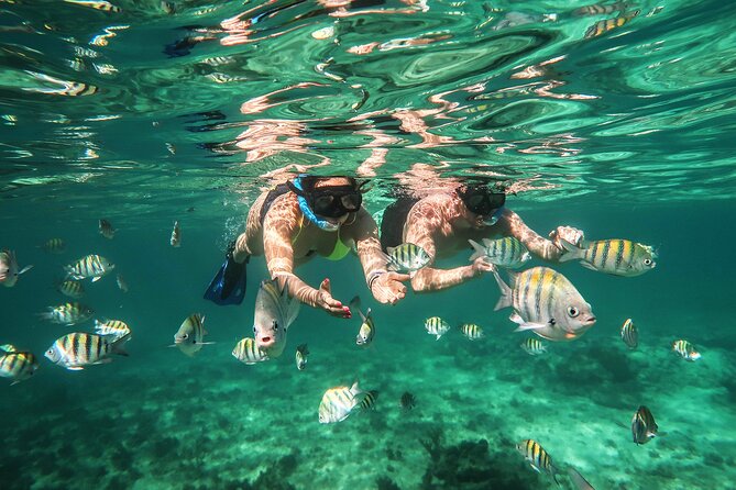 Cancun Luxury Sailing & Snorkeling With Lunch and Open Bar Onboard - Notable Positive Comments
