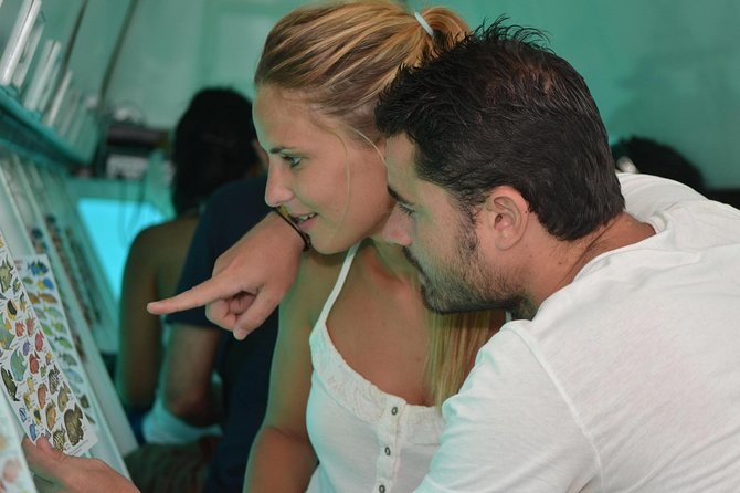 Cancun Submarine and Optional Snorkeling Tour - Cancellation and Confirmation