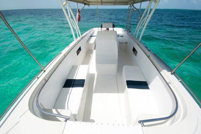 Cancun Whale Shark Tour With Transportation - Pricing and Availability