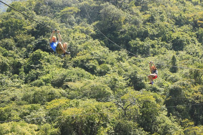 Canopy River Zipline Tour and Mule Ride - Customer Feedback