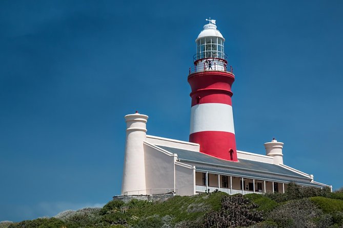 Cape Agulhas | Stony Point Nature Reserve - Visiting Cape Agulhas