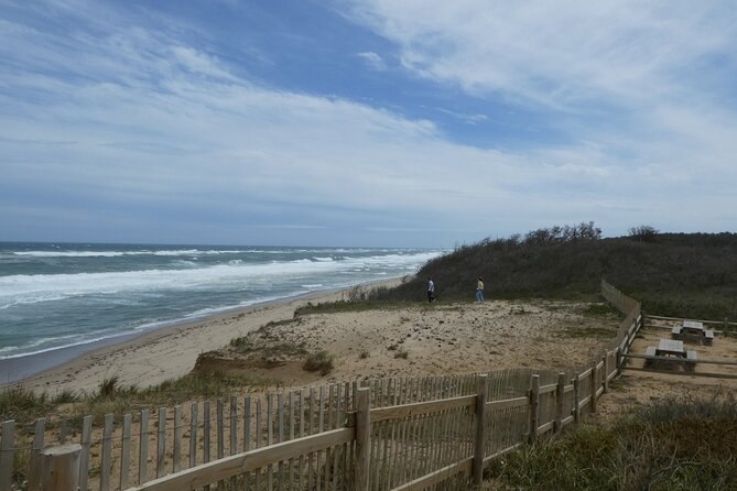 Cape Cod and Provincetown Private Driving Tour Review - Customer Feedback and Ratings