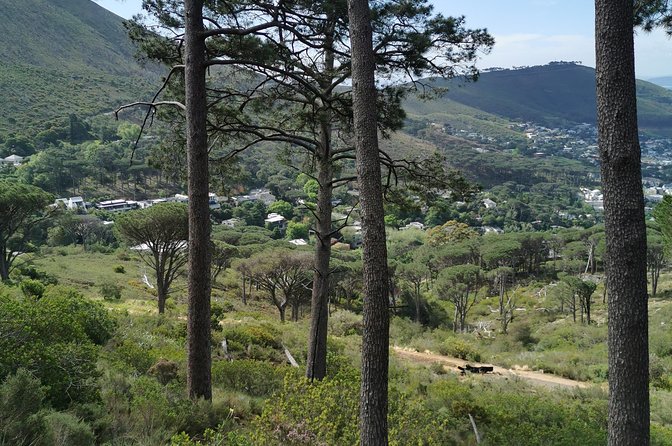 Cape Town City Tour Including Lions Head With Wi-Fi on Board. - Cancellation and Booking