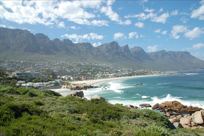 Cape Town Half Day Tour - Customer Reviews