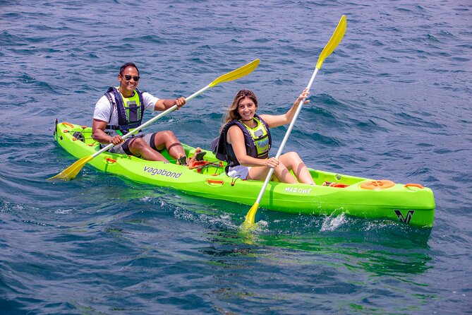 Cape Town Sea Kayaking Adventure Launching From V&A Waterfront - Customer Feedback Highlights
