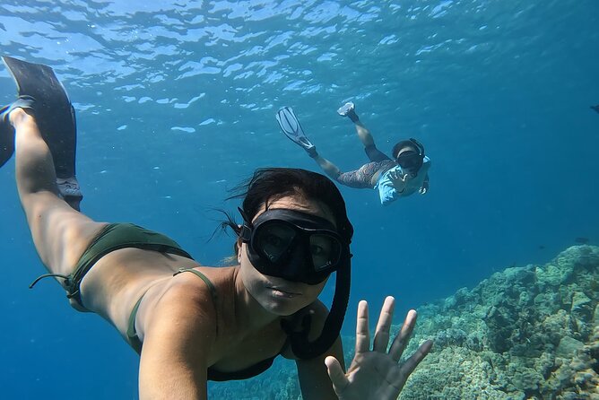Captain Cook Reef Snorkeling of Kealakekua Bay - Memorable Marine Life Encounters