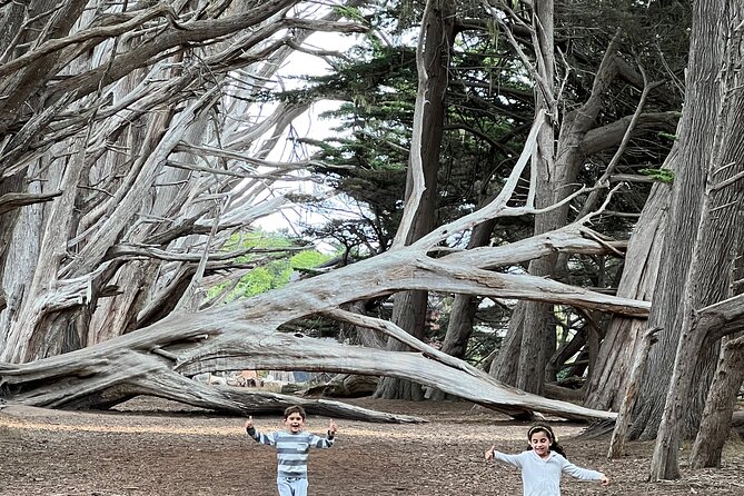 Carmel, Monterey and Big Sur Tour Private Tour From San Francisco - Traveler Reviews