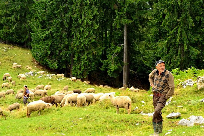 Carpathians in Romania: Piatra Craiului National Park With Native Spanish Guide. - Health and Physical Requirements
