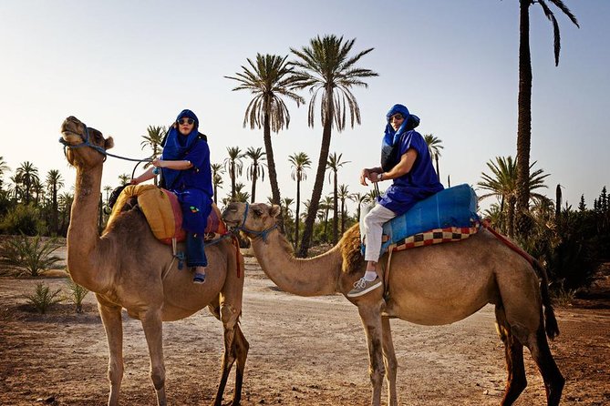 Casablanca to Marrakech Day Trip With Camel Ride - Guide Performance Issues
