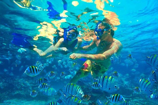 Catalina Island and Bayahibe Snorkel Tour - Recommendations