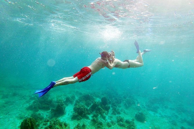Catamaran Cruise Sunset Ricks Cafe Snorkeling Family Days Only - Customer Reviews