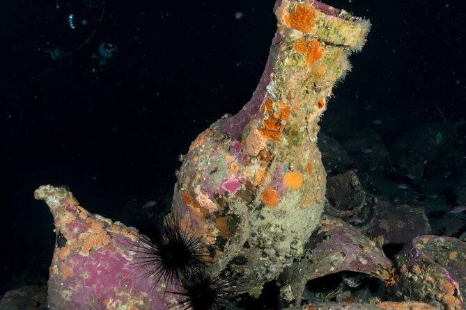 Catania: Scuba Diving Experience - Gear, Transfers, and Safety Protocols