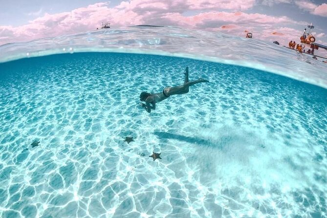 Cayman Adventure: Starfish Point, Stingray City and Coral Gardens - Exploring Starfish Point