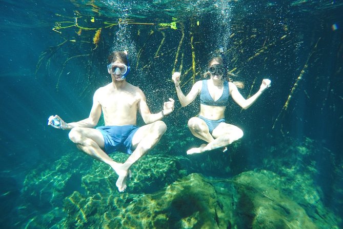Cenote Paddleboarding and Snorkeling in Tulum - Customer Experiences and Feedback