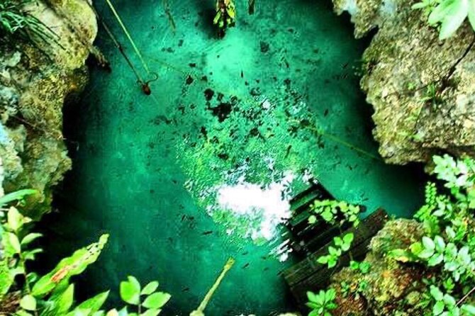 Cenote Santa Cruz Tour - Safety Considerations
