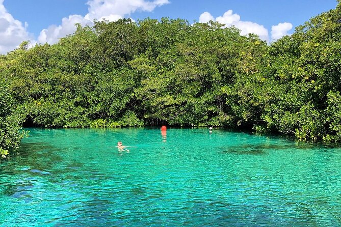 Cenote Triple Adventure Tour in Tulum - Knowledgeable Guides