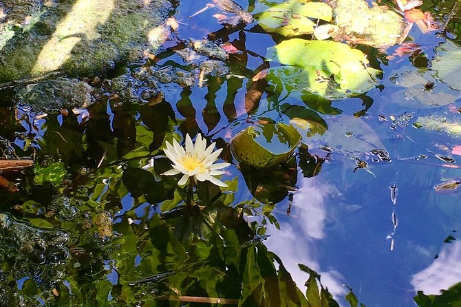 Cenotes Bike Tour With Food - Recommendations for Confident Bikers
