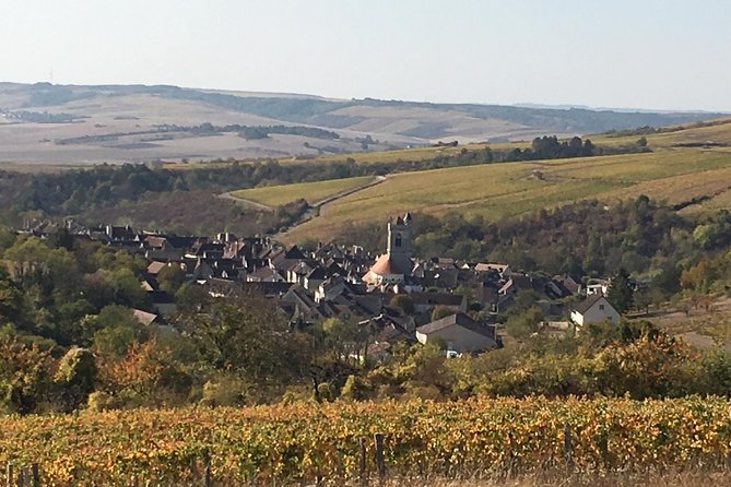 Chablis & Northern Burgundy Wine Tour - Traveler Support