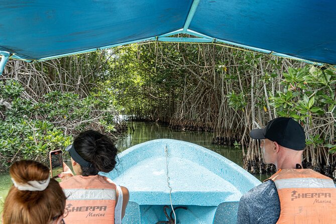 Chacahua National Park - Customer Reviews and Experiences