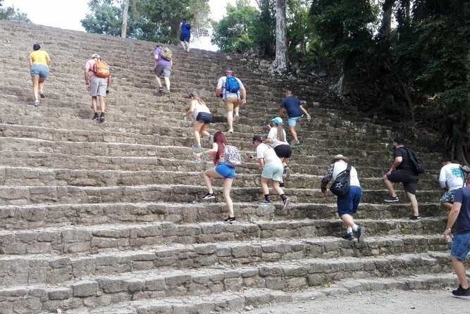 Chacchoben Mayan Ruins From Costa Maya - Guest Feedback Summary