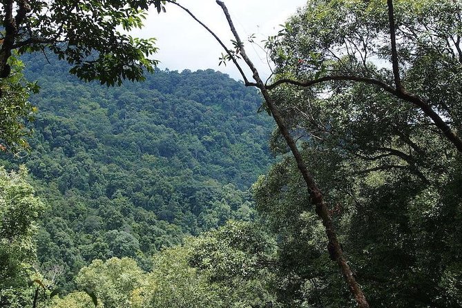 Chaesorn National Park Trekking - Pricing Information