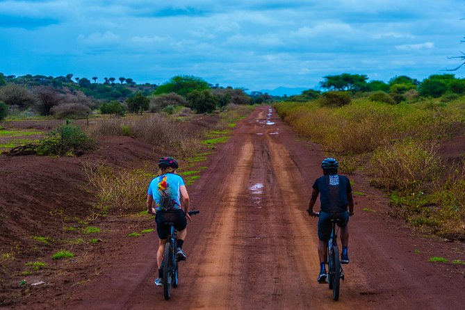 Chagga Villages in Mount Kilimanjaro Cycling Day Trip - Personalized Private Tour Experience