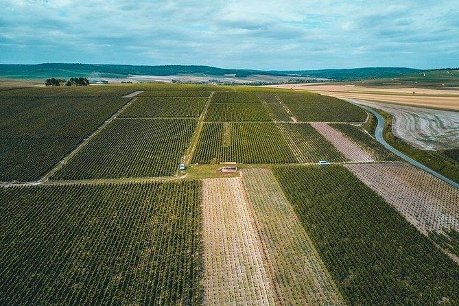 Champagne Lamiable: From the Vineyard to Your Own Bottle Full Experience - Flexible Departure Times