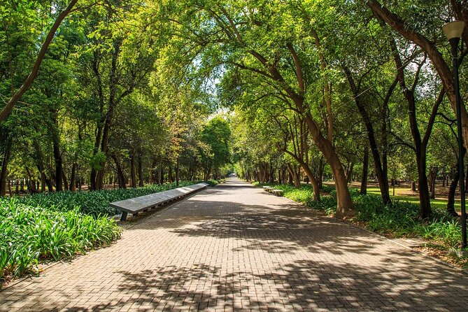 Chapultepec Park by Bike Guided Tour - Customer Testimonials