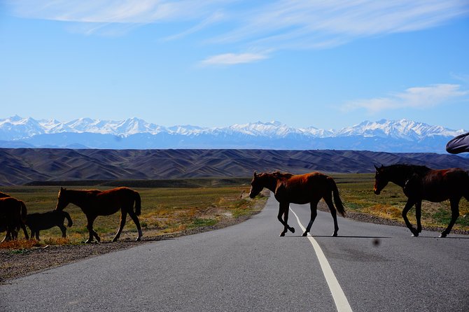 Charyn Canyon + Almaty City Tour in 1 Day - Tips for an Enjoyable Experience