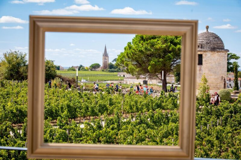 Château Balestard La Tonnelle: the Origins Tour - Panoramic Terrace and Views