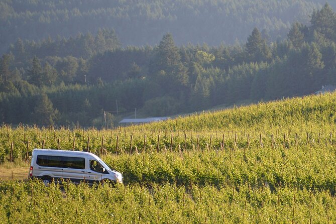 Chianti and Supertuscan Private Tour With Lunch From Livorno - Transparent Pricing and Booking