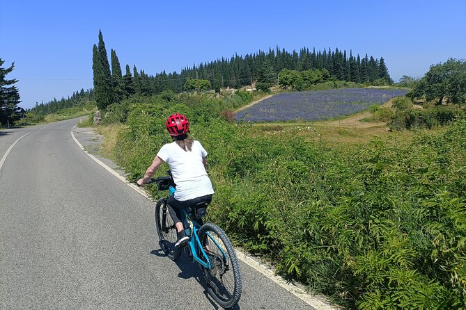 Chianti E-Bike Tour From Florence With Wine Tasting - Review Breakdown and Verification
