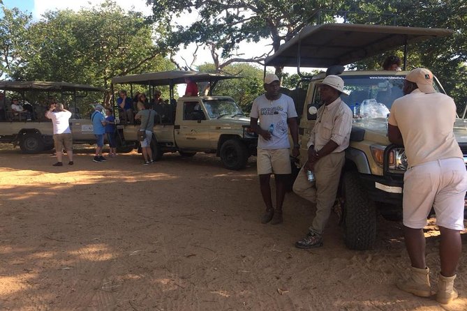 Chobe 3hr Game Drive - What to Expect on the Tour