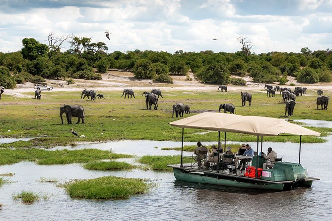 Chobe Day Trip, Botswana - Inclusions and Exclusions