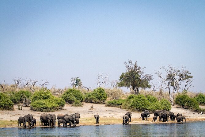 Chobe Day Trip - Frequently Asked Questions