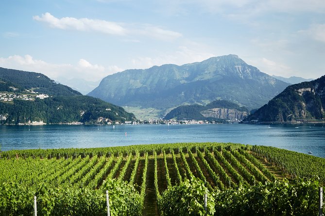 Chocolate, Cheese and Wine Tour in Luzern Region - Child Policies
