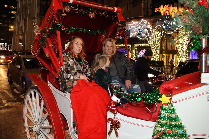 Christmas Light Private Carriage Ride New York City - Customer Feedback and Reviews