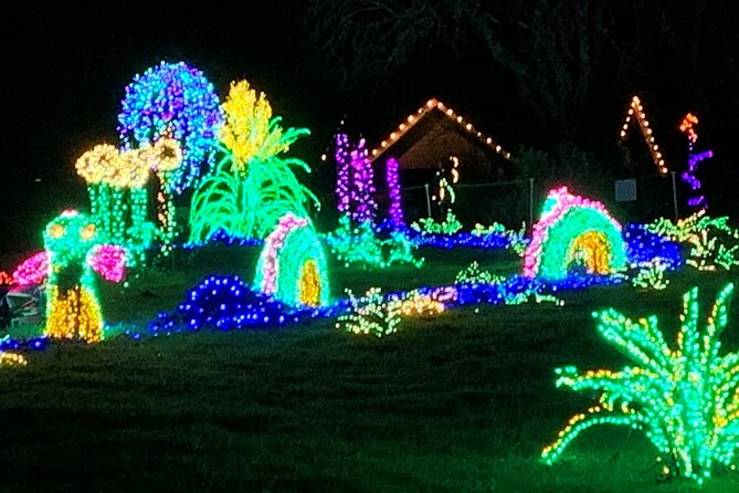 Christmas Lights and Snowflake Lane Photo Tour - Review Summary