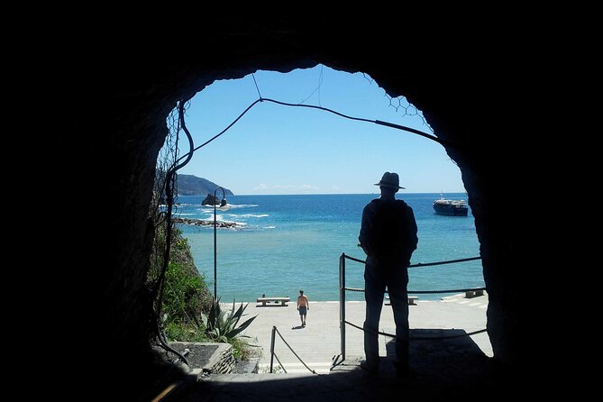 Cinque Terre Private Tour by Minivan and Ferry-Boat From Pisa - Exceptional Guide and Driver