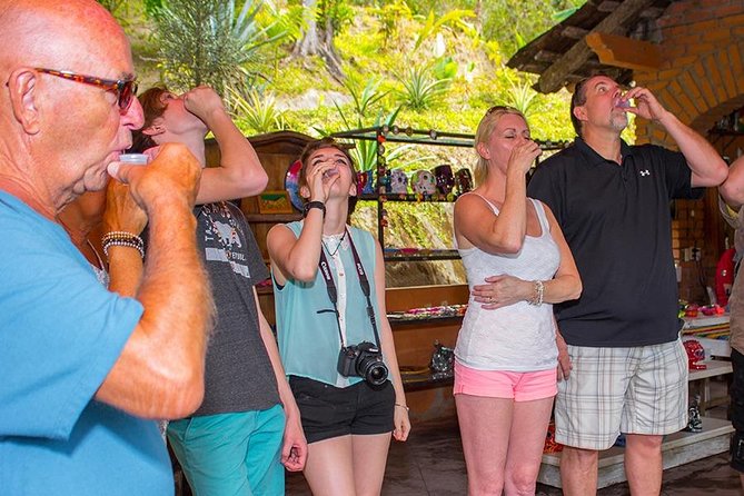 City and Tequila Tour in Puerto Vallarta - Cultural Immersion