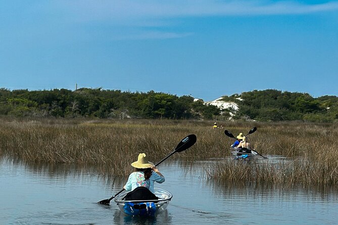 Clear Kayak Ecotour Destin Ft. Walton Beach - Accessibility and Group Size