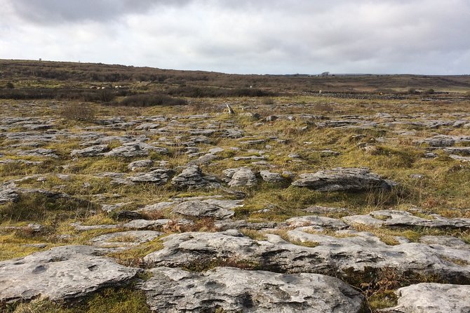 Cliffs of Moher and the Burren Private Tour - Convenient Tour Logistics
