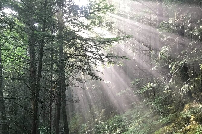 Clingmans Dome Hike - Meeting and Pickup Details