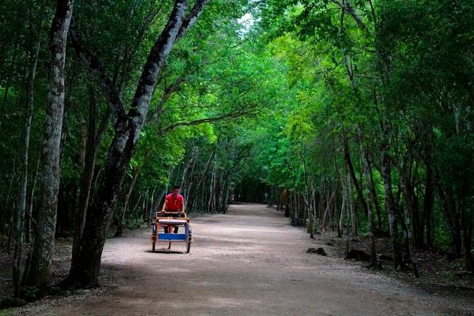 Coba Mayan Ruins and Cenote Cultural Full-Day Tour From Riviera Maya - Pricing and Booking